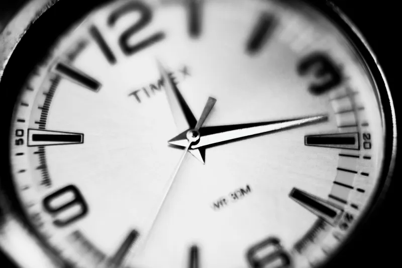 The 24-Hour Rush: How to Read Late Odds Movements Before the Market Closes the Door